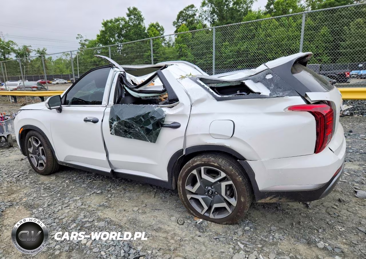2024 Hyundai Palisade Sel Premium VIN:KM8R4DGE5RU804784 - 2