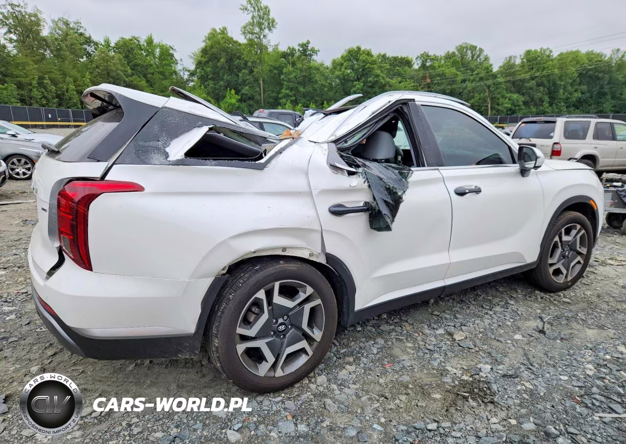 2024 Hyundai Palisade Sel Premium VIN:KM8R4DGE5RU804784 - 3
