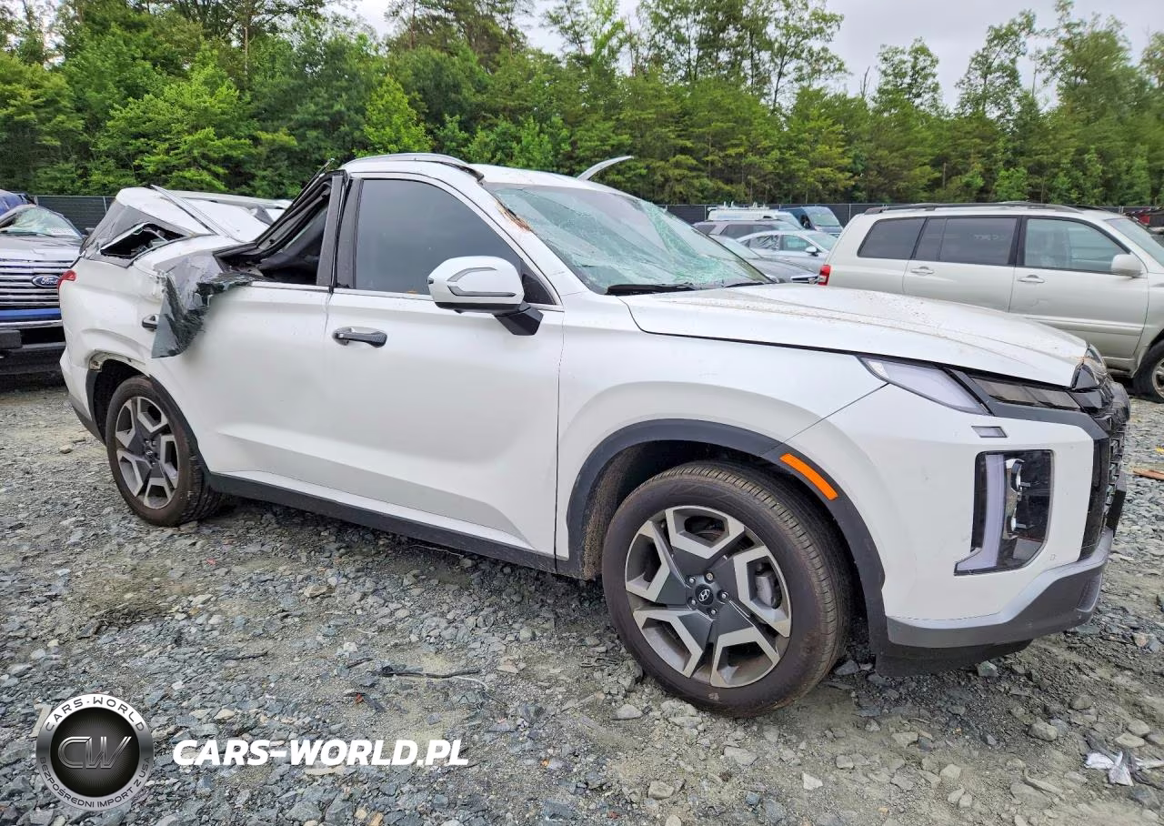 2024 Hyundai Palisade Sel Premium VIN:KM8R4DGE5RU804784 - 4