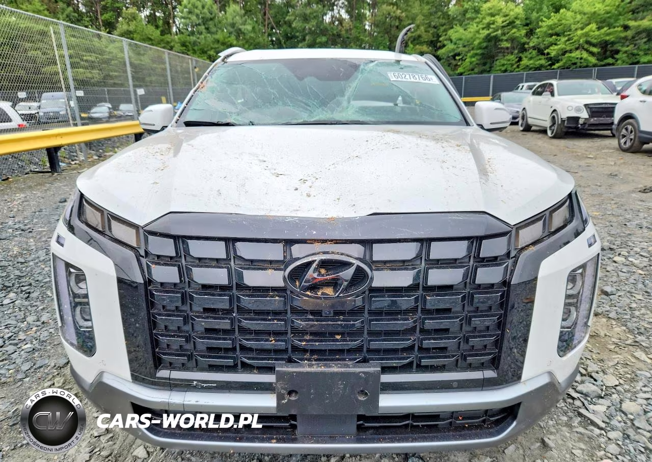 2024 Hyundai Palisade Sel Premium VIN:KM8R4DGE5RU804784 - 5