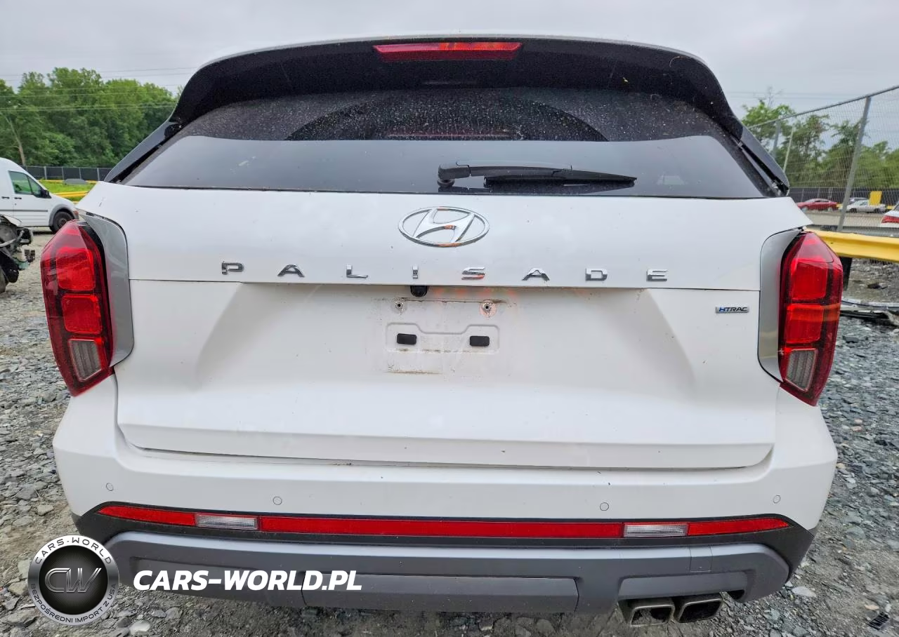 2024 Hyundai Palisade Sel Premium VIN:KM8R4DGE5RU804784 - 6