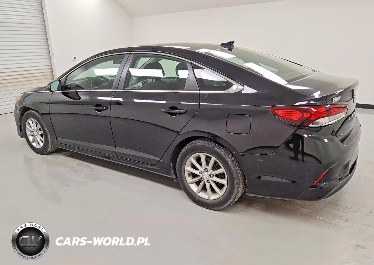 2019 Hyundai Sonata Se VIN:5NPE24AF0KH781313 - 2