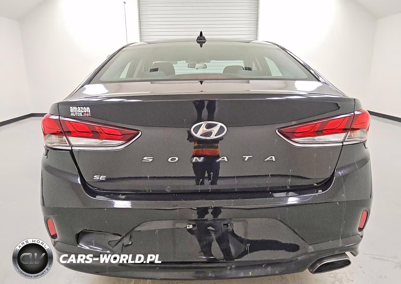 2019 Hyundai Sonata Se VIN:5NPE24AF0KH781313 - 6