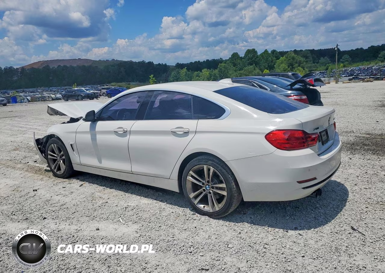 2017 BMW 430Xi Gran Coupe VIN:WBA4F9C53HG791863 - 2