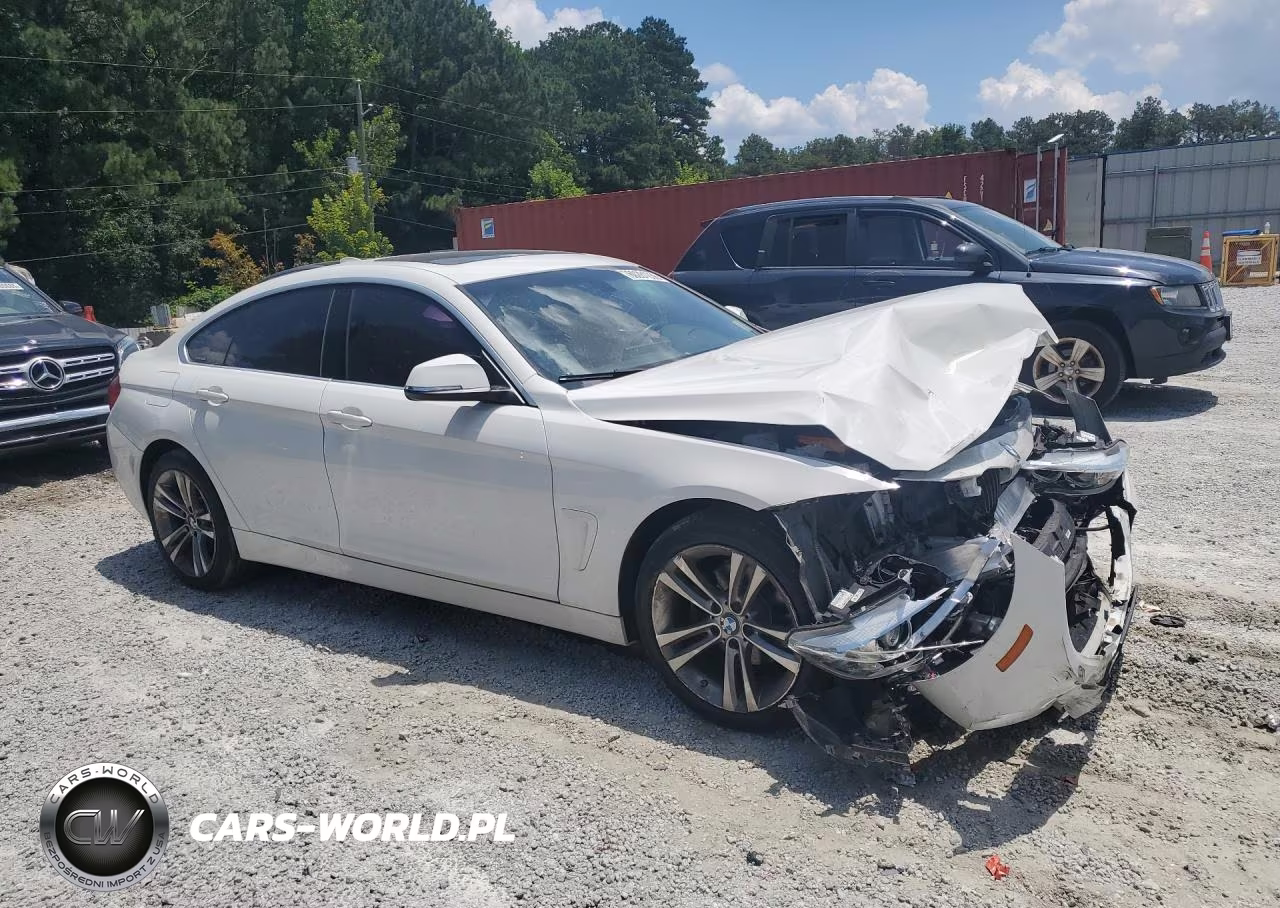 2017 BMW 430Xi Gran Coupe VIN:WBA4F9C53HG791863 - 4