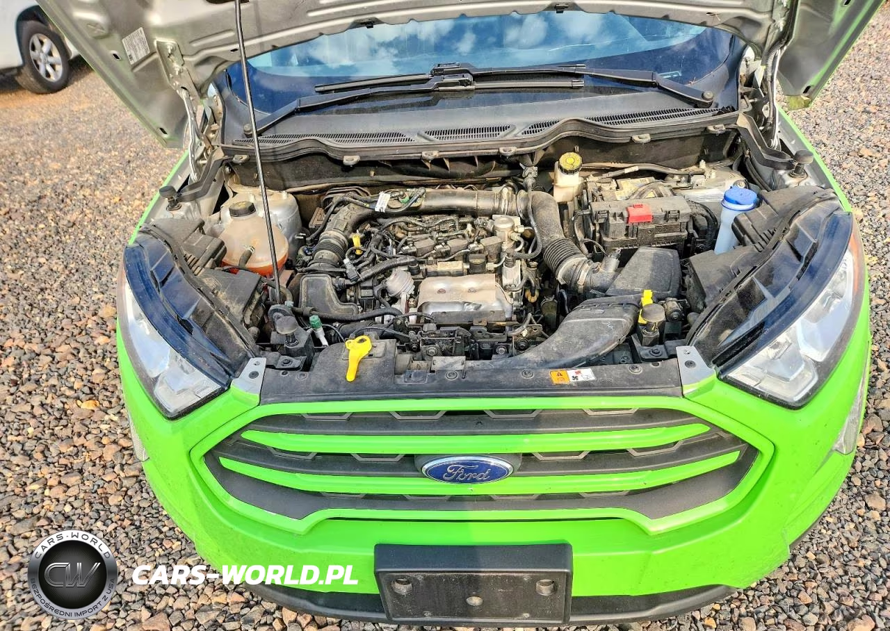 2021 Ford Ecosport Se VIN:MAJ3S2GE3MC452264 - 12