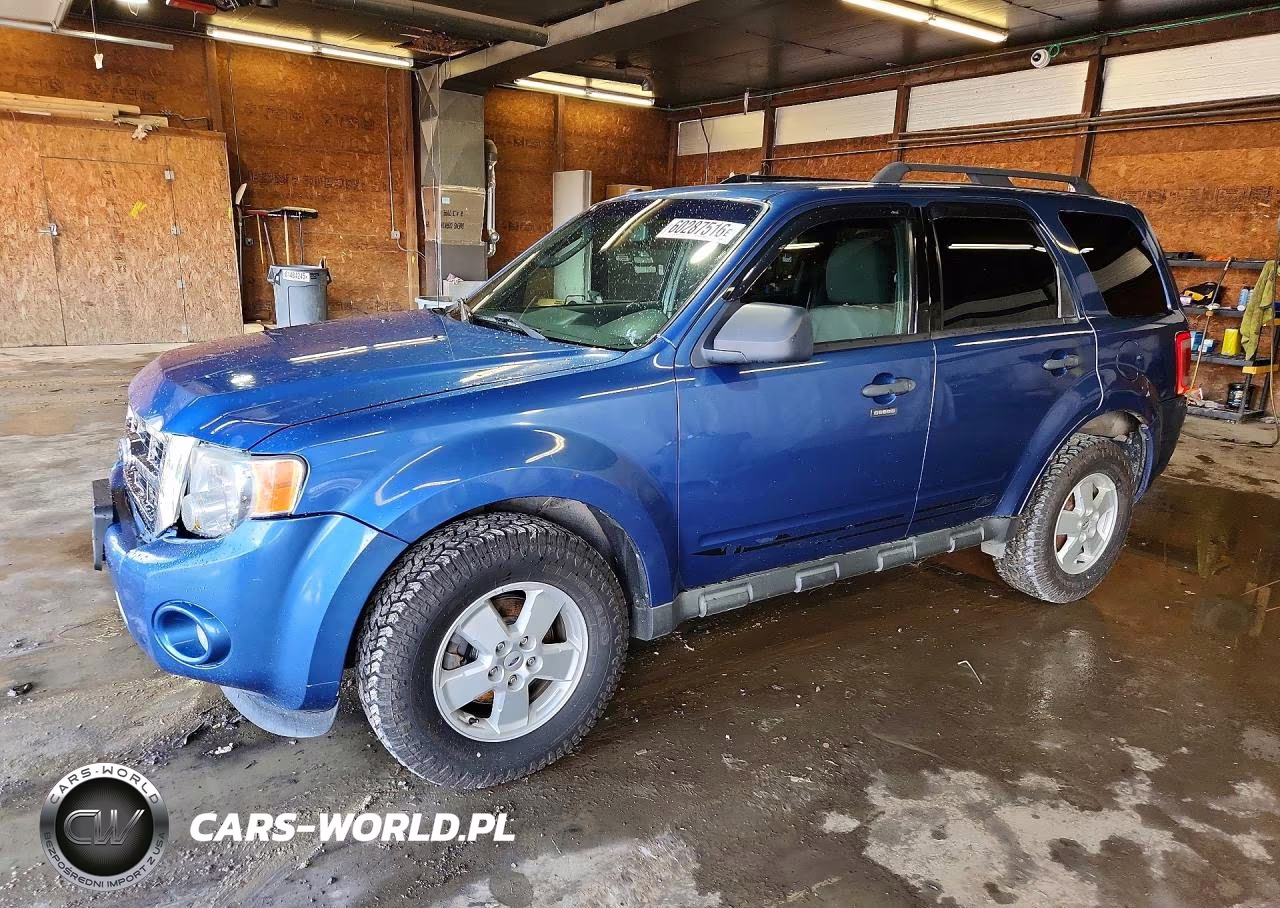 2010 Ford Escape Xlt