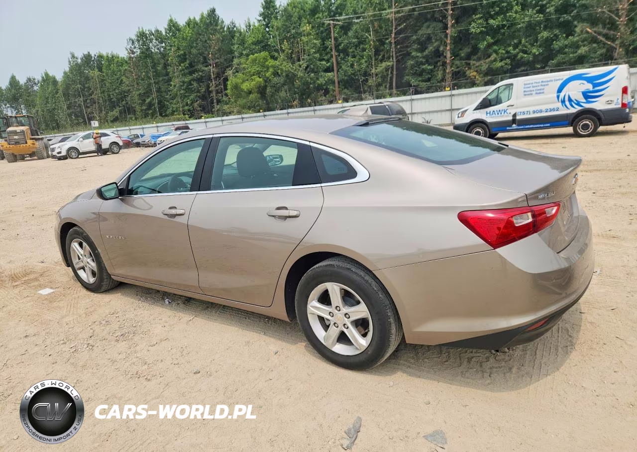 2024 Chevrolet Malibu Lt VIN:1G1ZD5ST6RF196089 - 2
