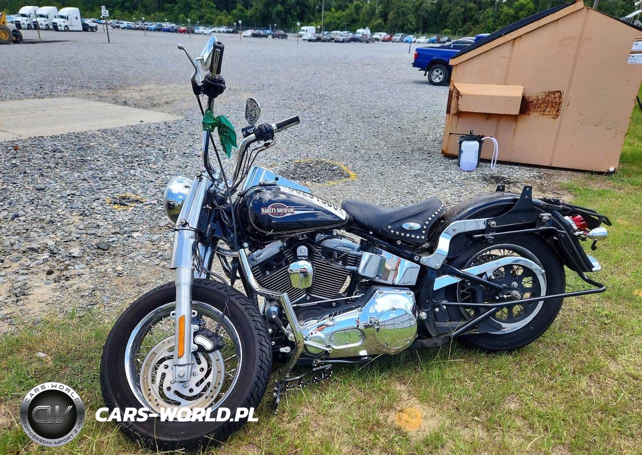 2006 Harley-Davidson Flstci VIN:1HD1BWB156Y090424 - 3