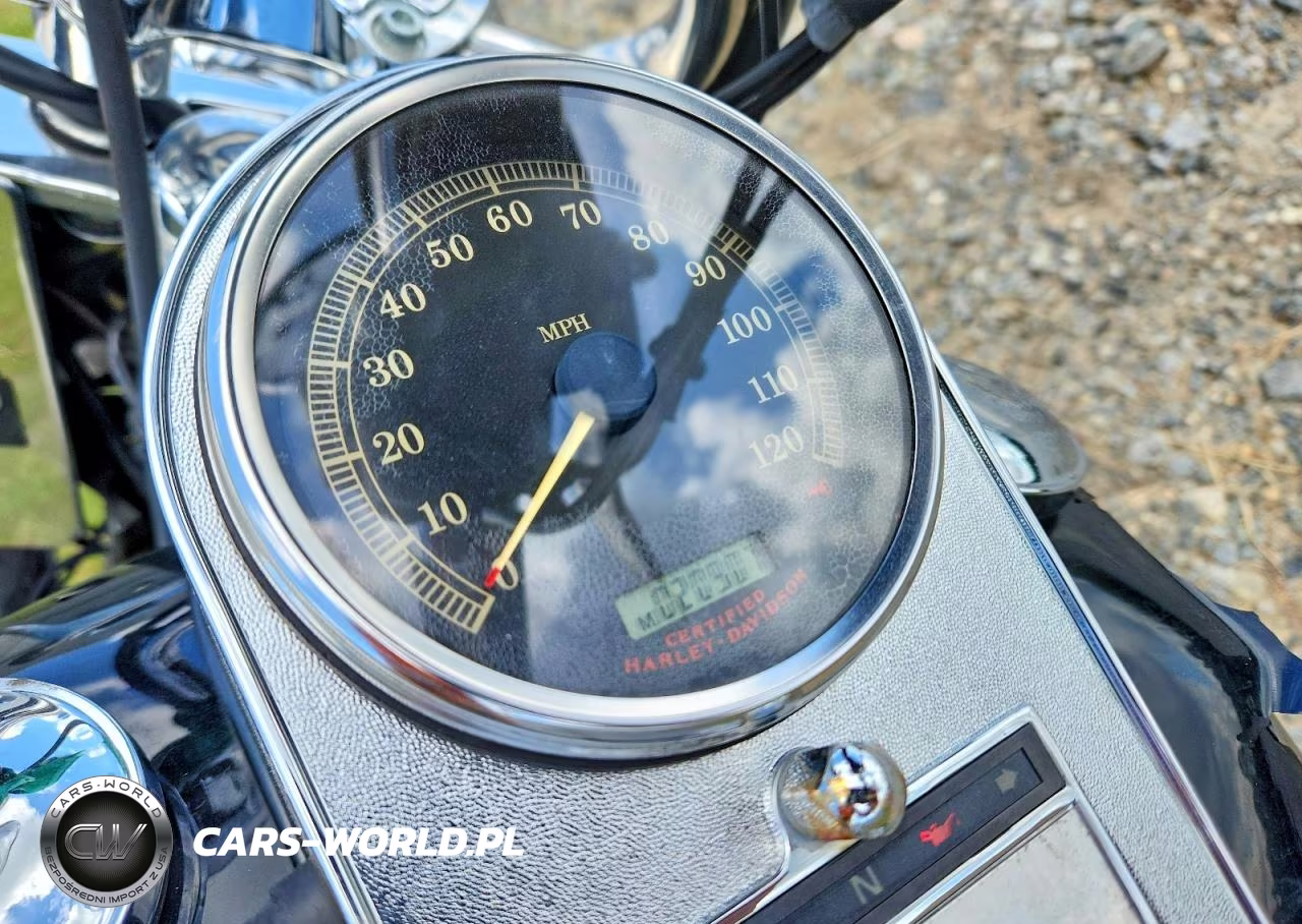 2006 Harley-Davidson Flstci VIN:1HD1BWB156Y090424 - 7