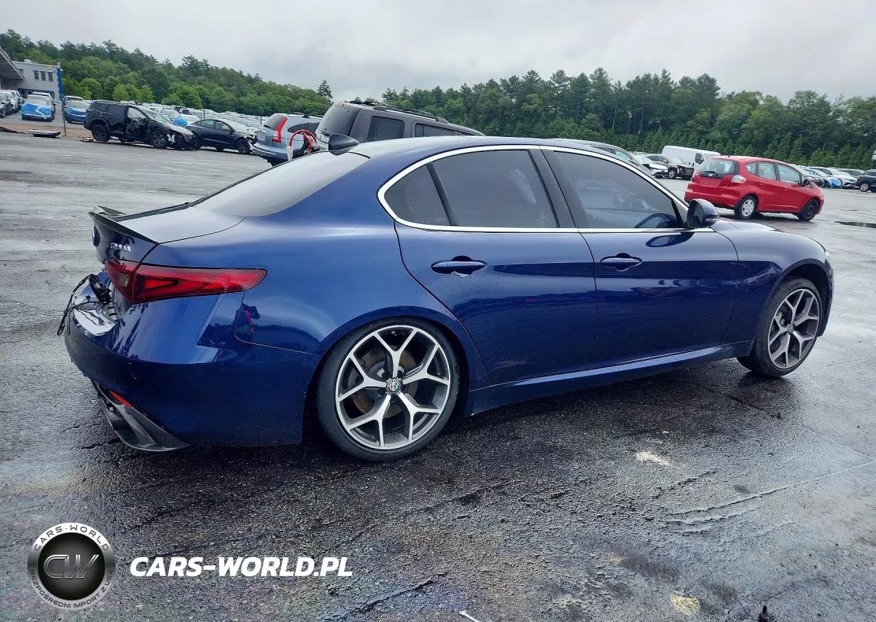 2019 Alfa Romeo Giulia VIN:ZARFANAN7K7605793 - 3