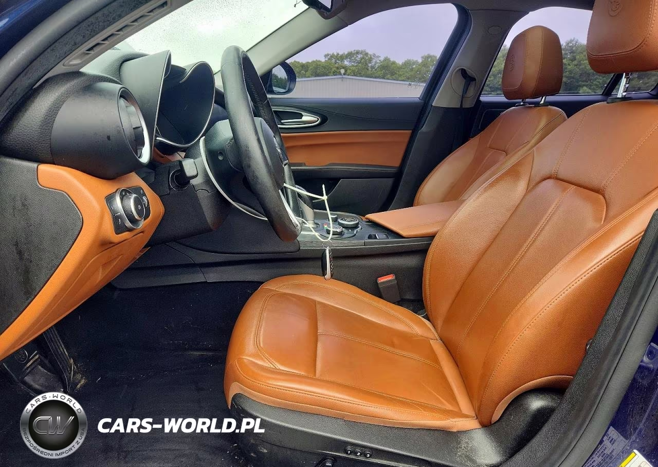 2019 Alfa Romeo Giulia VIN:ZARFANAN7K7605793 - 7
