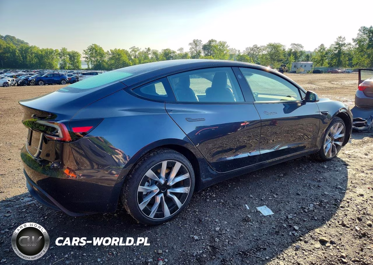 2025 Tesla Model 3 VIN:5YJ3E1EB7SF021060 - 3