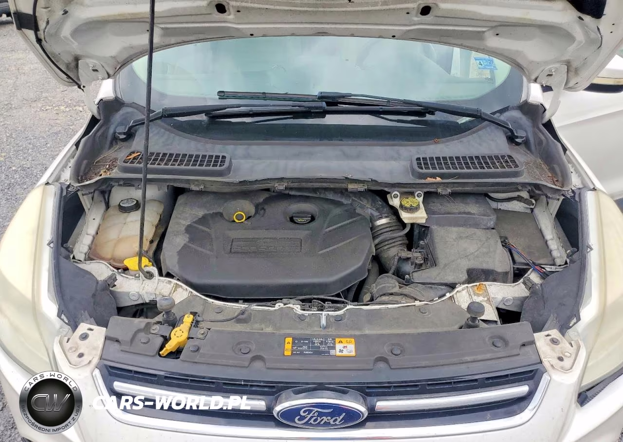 2013 Ford Escape Sel VIN:1FMCU0H93DUB91315 - 12