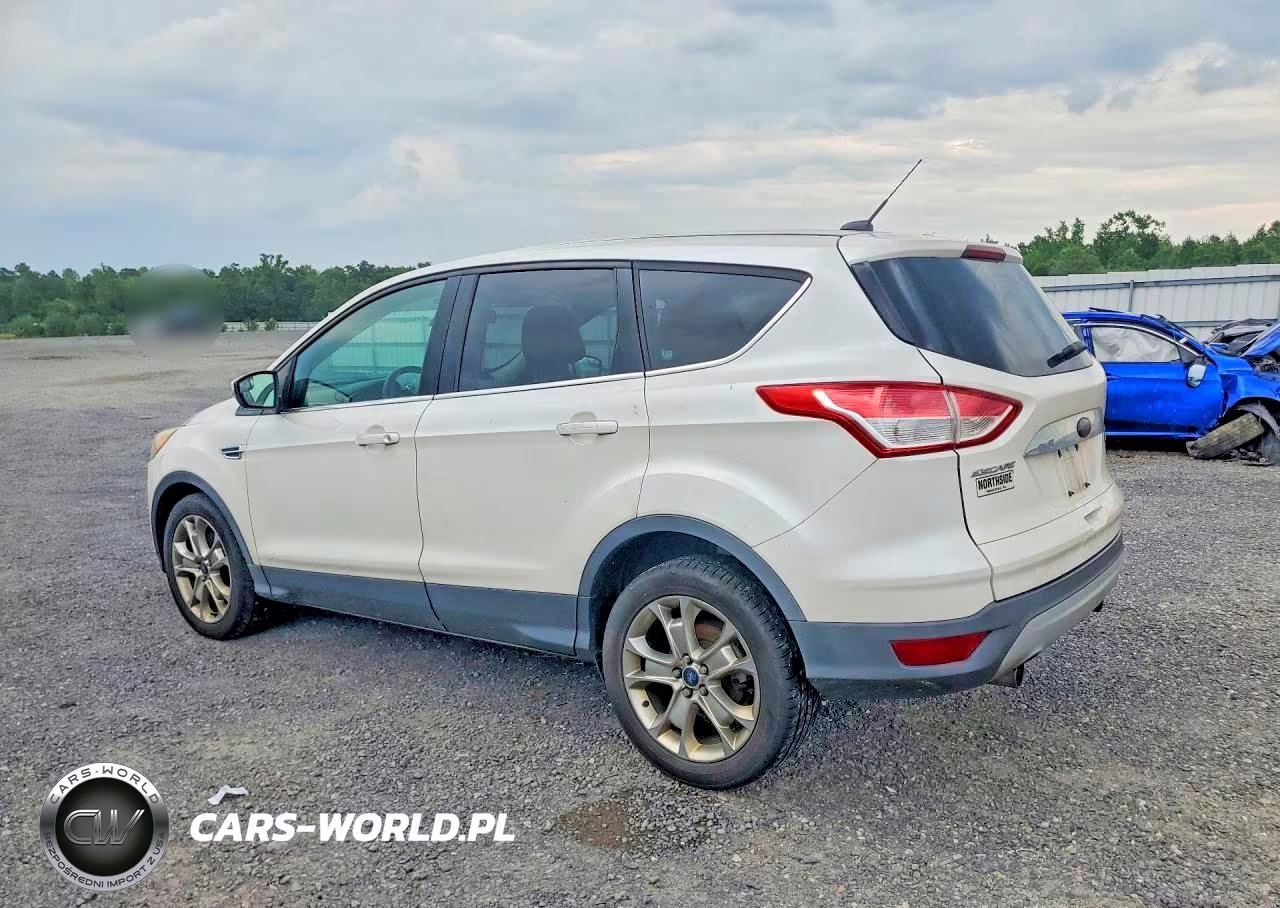 2013 Ford Escape Sel VIN:1FMCU0H93DUB91315 - 2