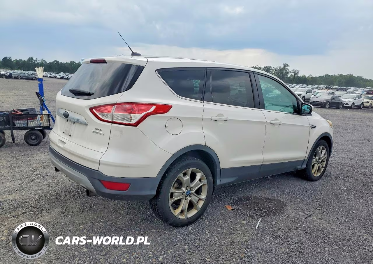 2013 Ford Escape Sel VIN:1FMCU0H93DUB91315 - 3