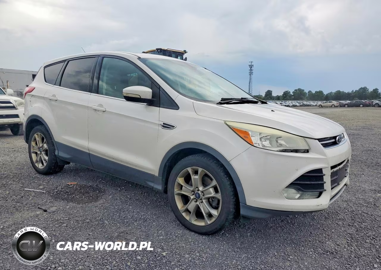 2013 Ford Escape Sel VIN:1FMCU0H93DUB91315 - 4
