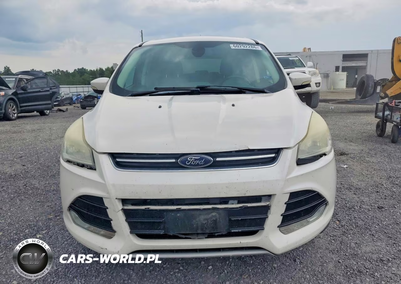 2013 Ford Escape Sel VIN:1FMCU0H93DUB91315 - 5