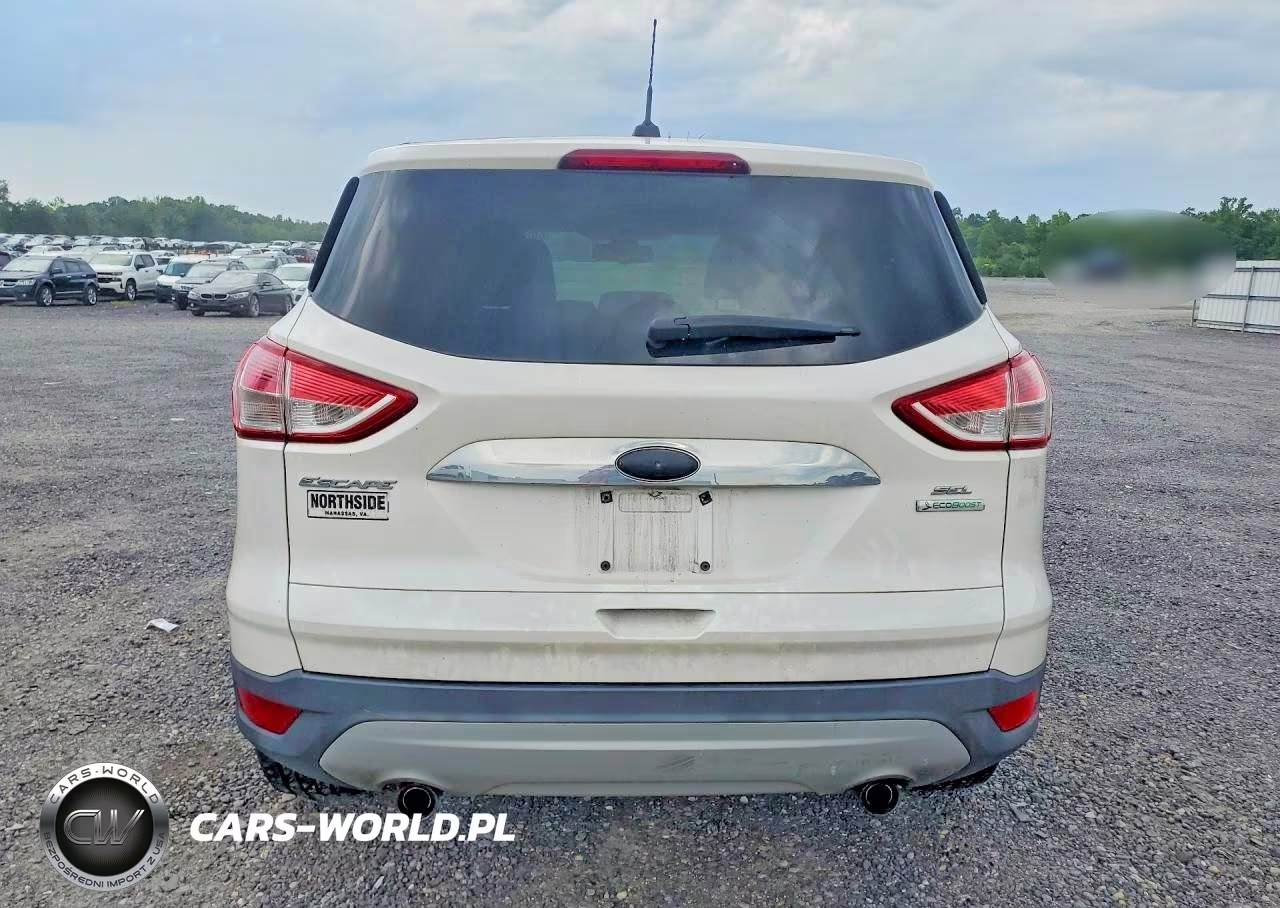 2013 Ford Escape Sel VIN:1FMCU0H93DUB91315 - 6