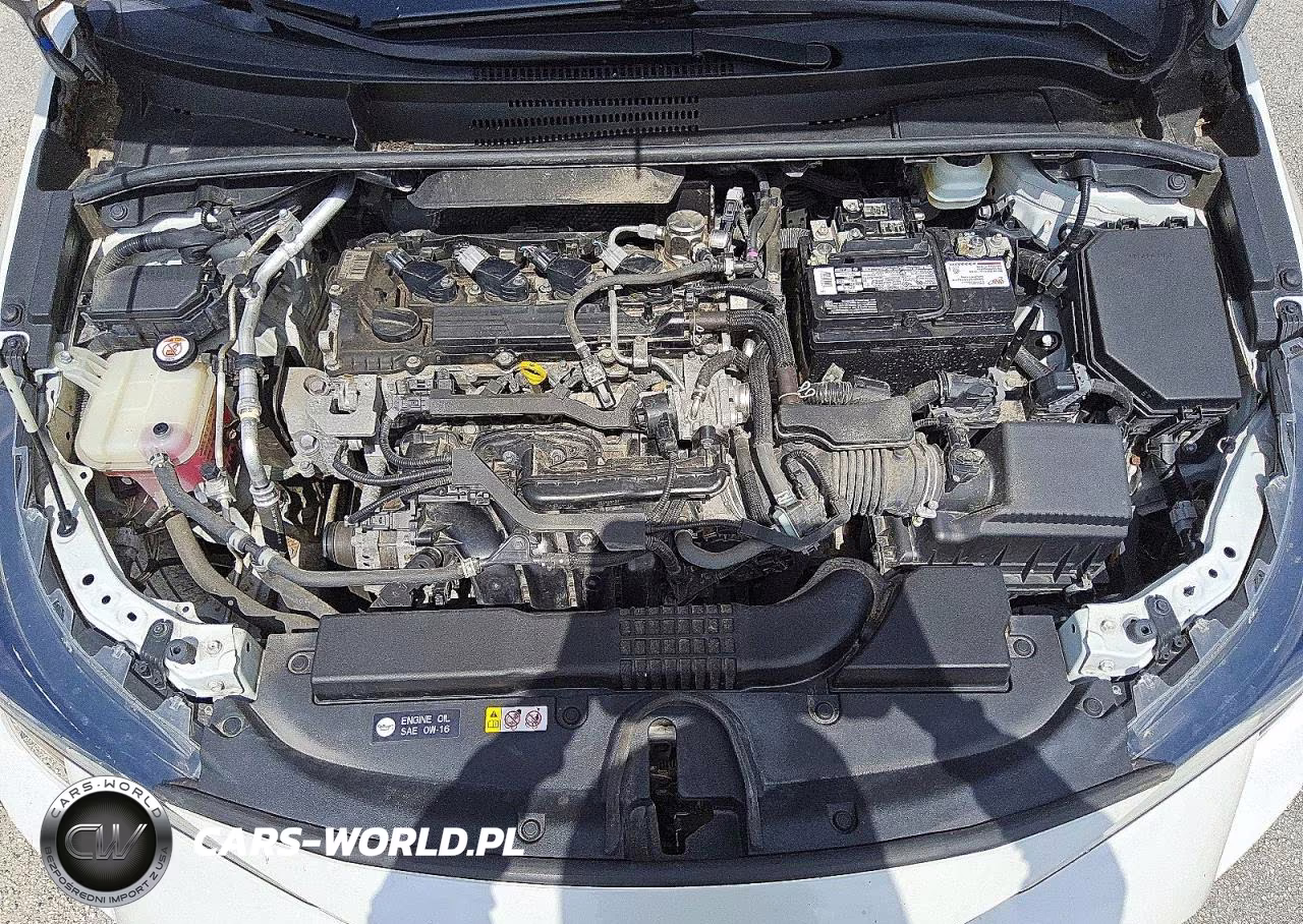 2019 Toyota Corolla Hatchback Se VIN:JTNK4RBE0K3025360 - 11