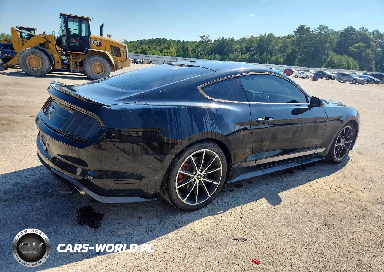 2020 Ford Mustang VIN:1FA6P8TH9L5108300 - 3