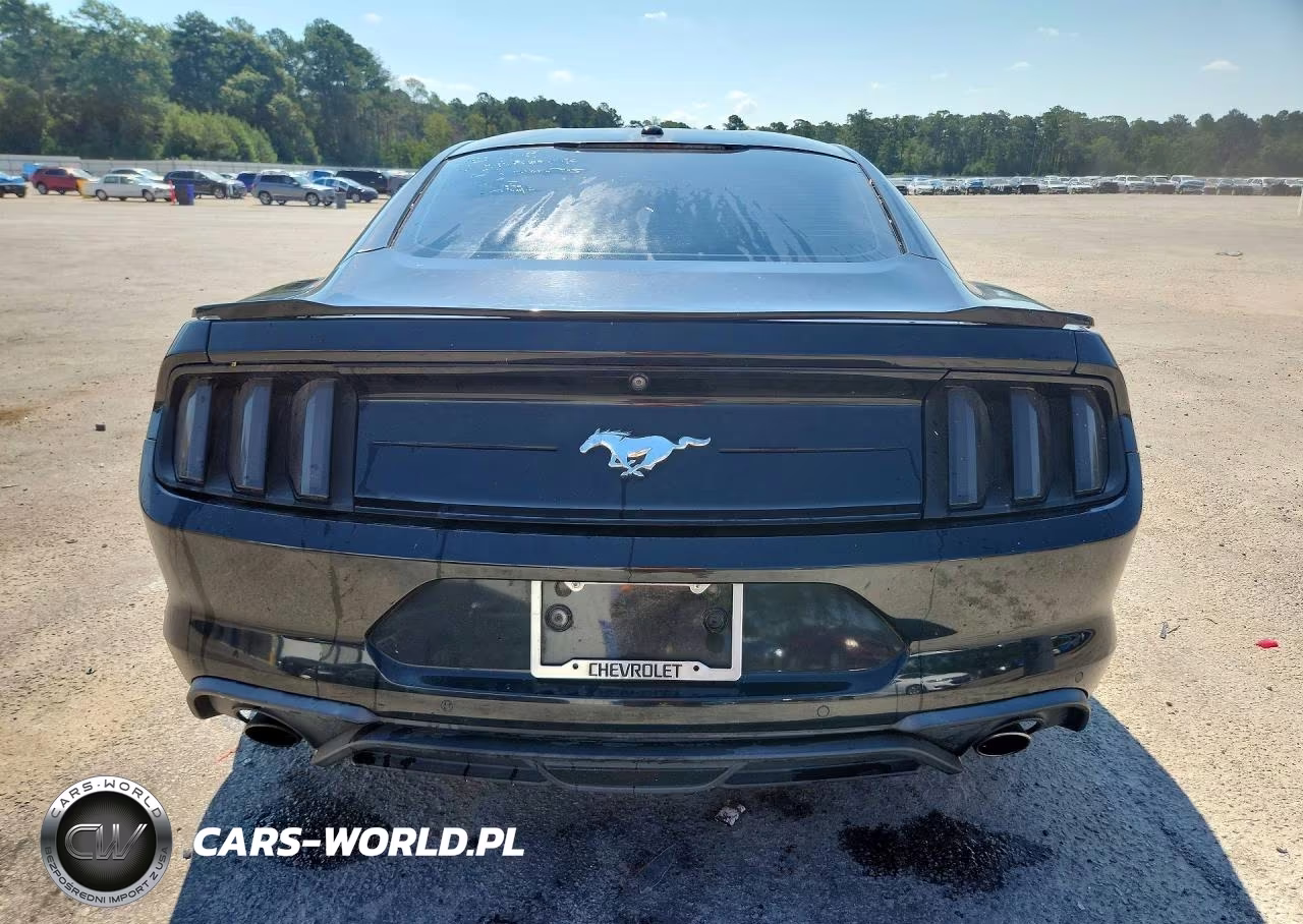 2020 Ford Mustang VIN:1FA6P8TH9L5108300 - 6