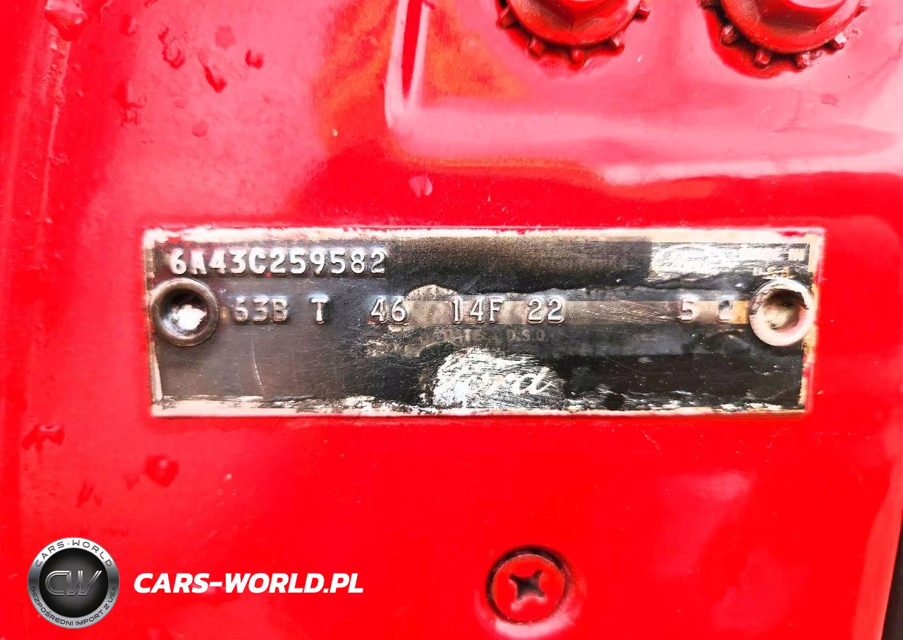1966 Ford Fairlane 500 VIN:6A43C259582 - 12