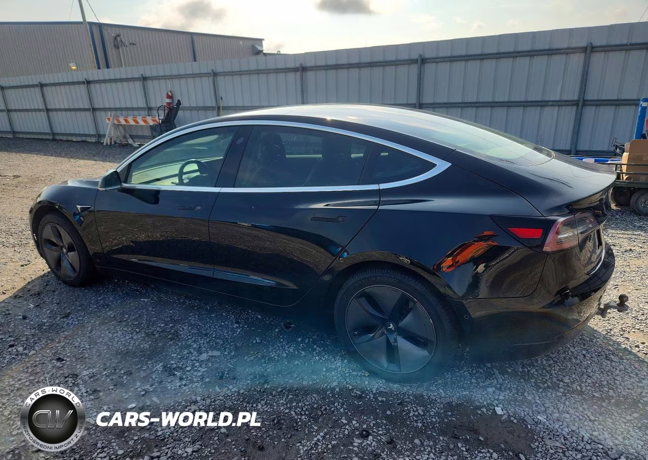 2019 Tesla Model 3 VIN:5YJ3E1EA5KF325138 - 2