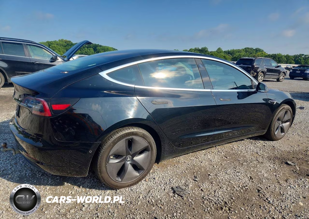 2019 Tesla Model 3 VIN:5YJ3E1EA5KF325138 - 3