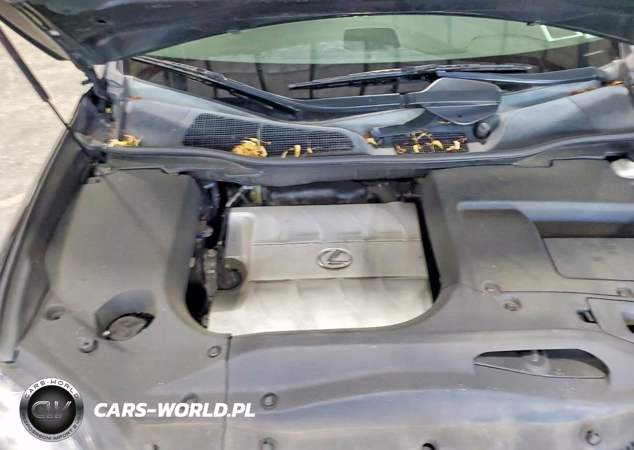2015 Lexus Rx 350 Base VIN:2T2BK1BA1FC257421 - 12