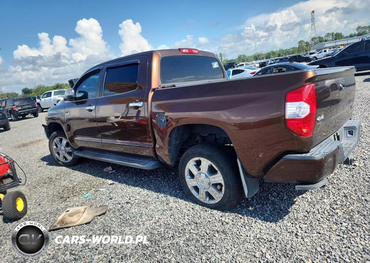 2017 Toyota Tundra 1794 Edition VIN:5TFAY5F12HX604114 - 2