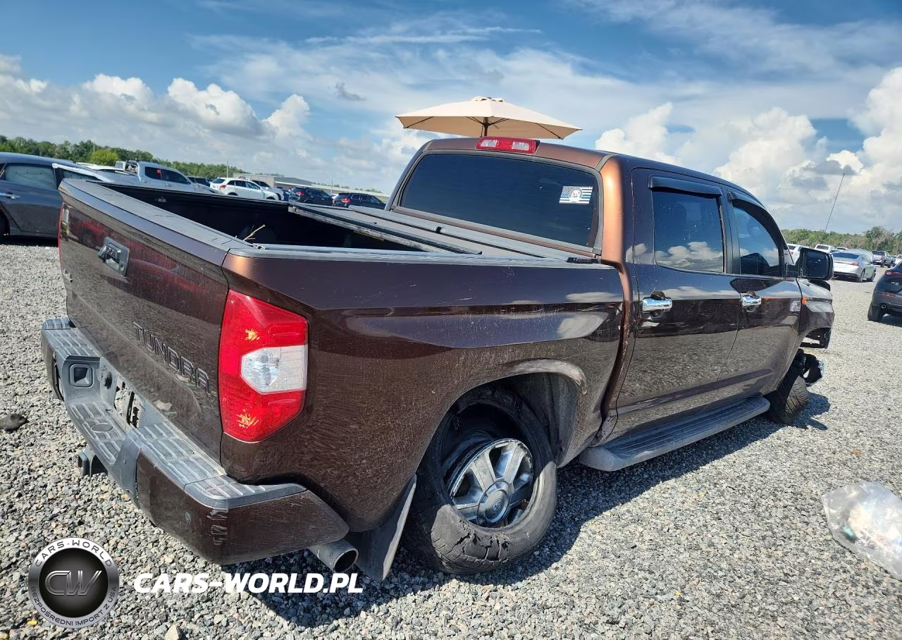 2017 Toyota Tundra 1794 Edition VIN:5TFAY5F12HX604114 - 3