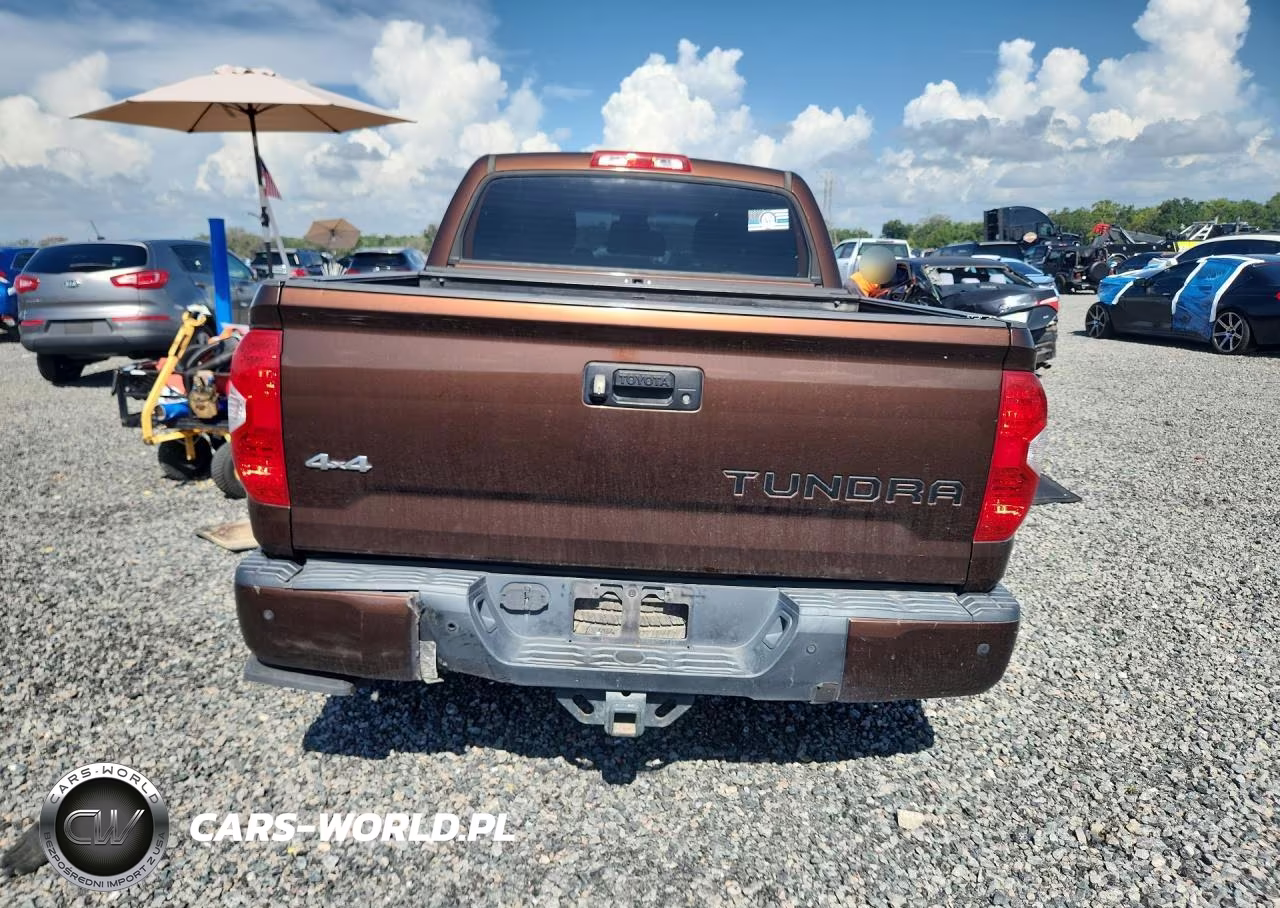 2017 Toyota Tundra 1794 Edition VIN:5TFAY5F12HX604114 - 6
