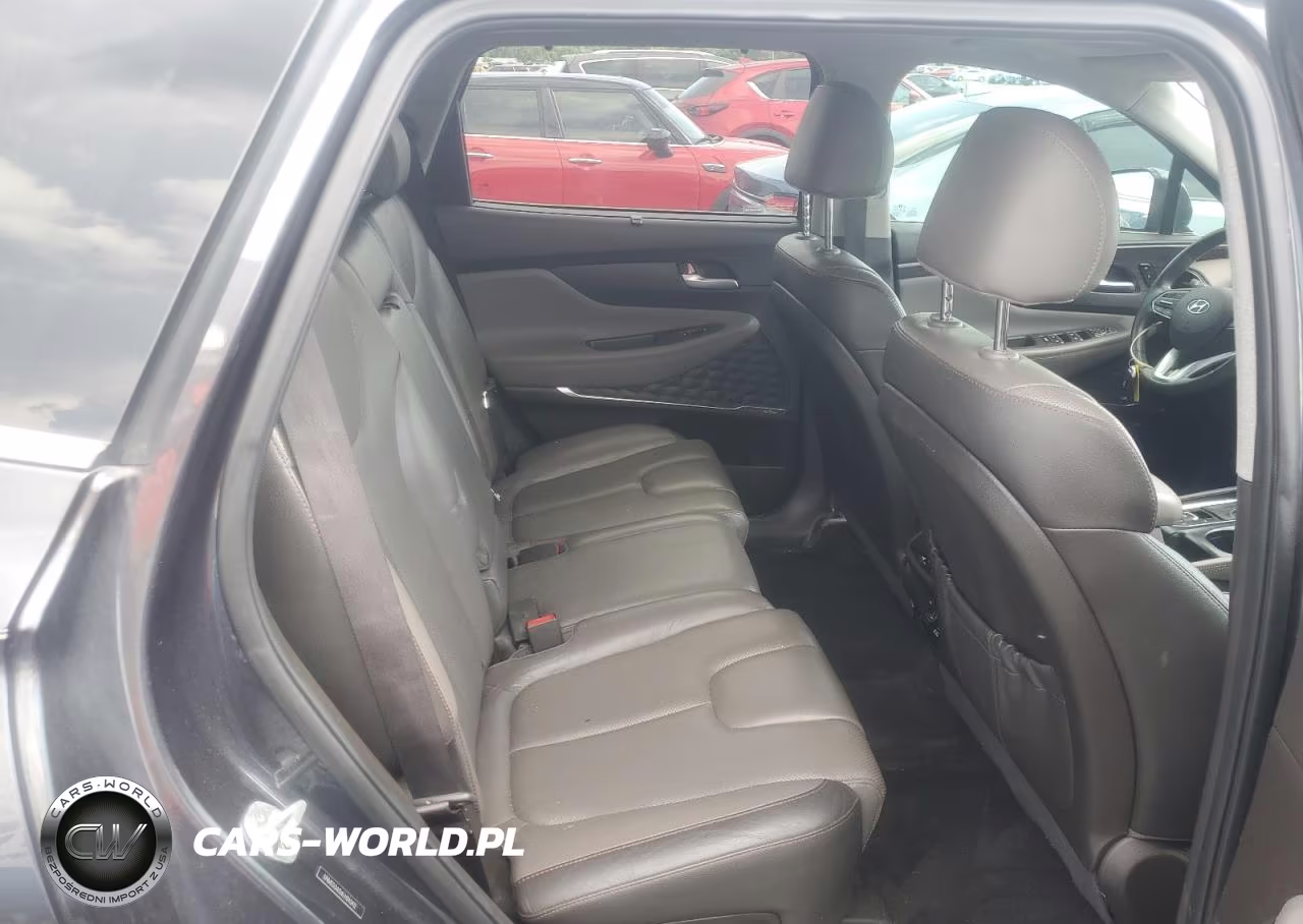 2020 Hyundai Santa Fe Limited VIN:5NMS53AD6LH243412 - 10