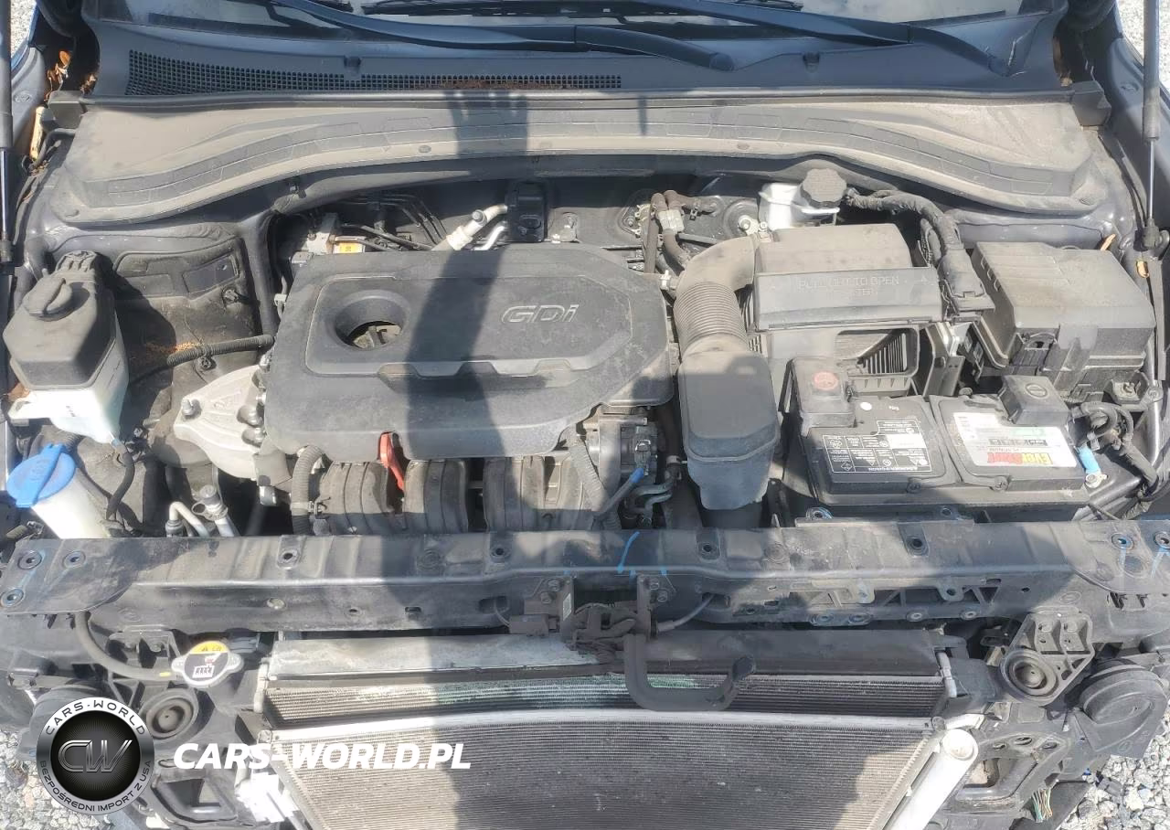 2020 Hyundai Santa Fe Limited VIN:5NMS53AD6LH243412 - 11