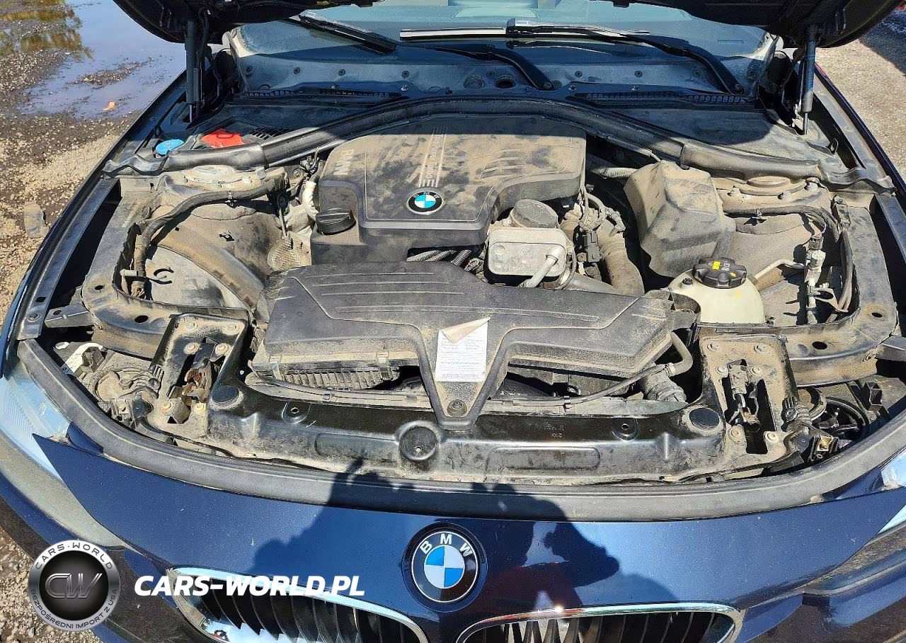 2017 BMW 320 Xi VIN:WBA8E5G59HNU41916 - 11