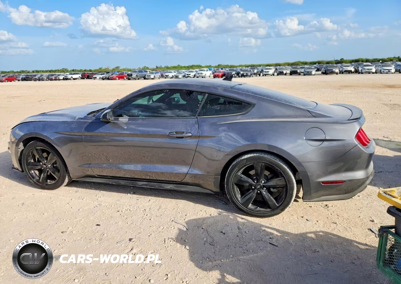 2021 Ford Mustang VIN:1FA6P8TH4M5119349 - 2