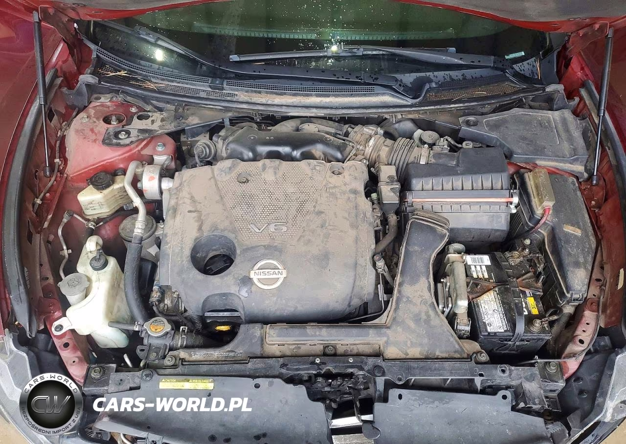 2009 Nissan Maxima 3.5 S VIN:1N4AA51E79C836530 - 11