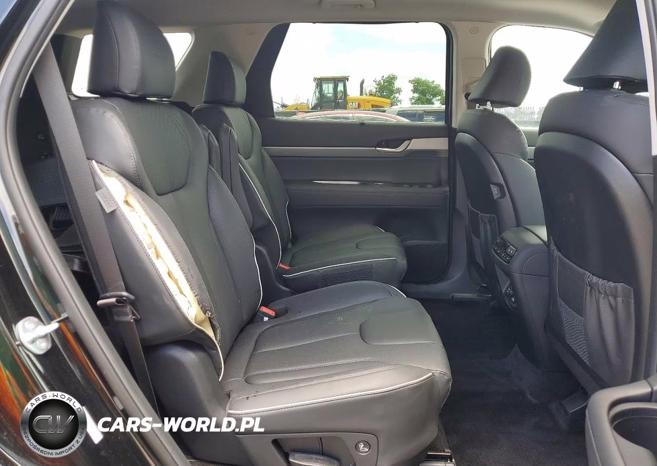 2025 Hyundai Palisade Sel Premium VIN:KM8R44GE3SU945648 - 11