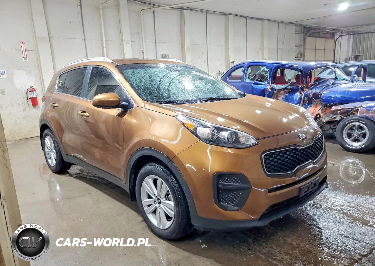 2017 Kia Sportage Lx VIN:KNDPM3AC8H7295560 - 4