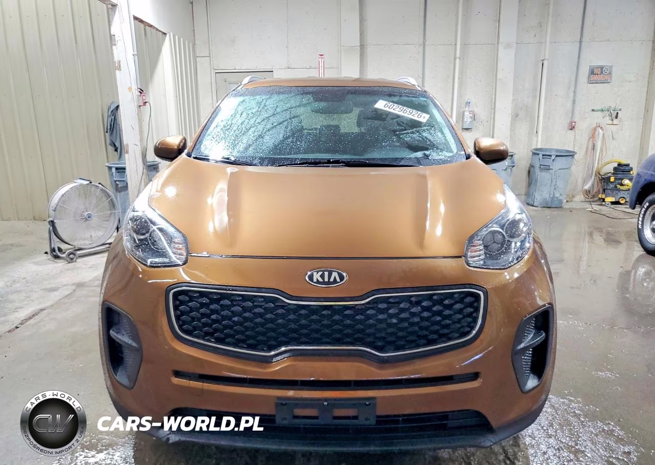2017 Kia Sportage Lx VIN:KNDPM3AC8H7295560 - 5