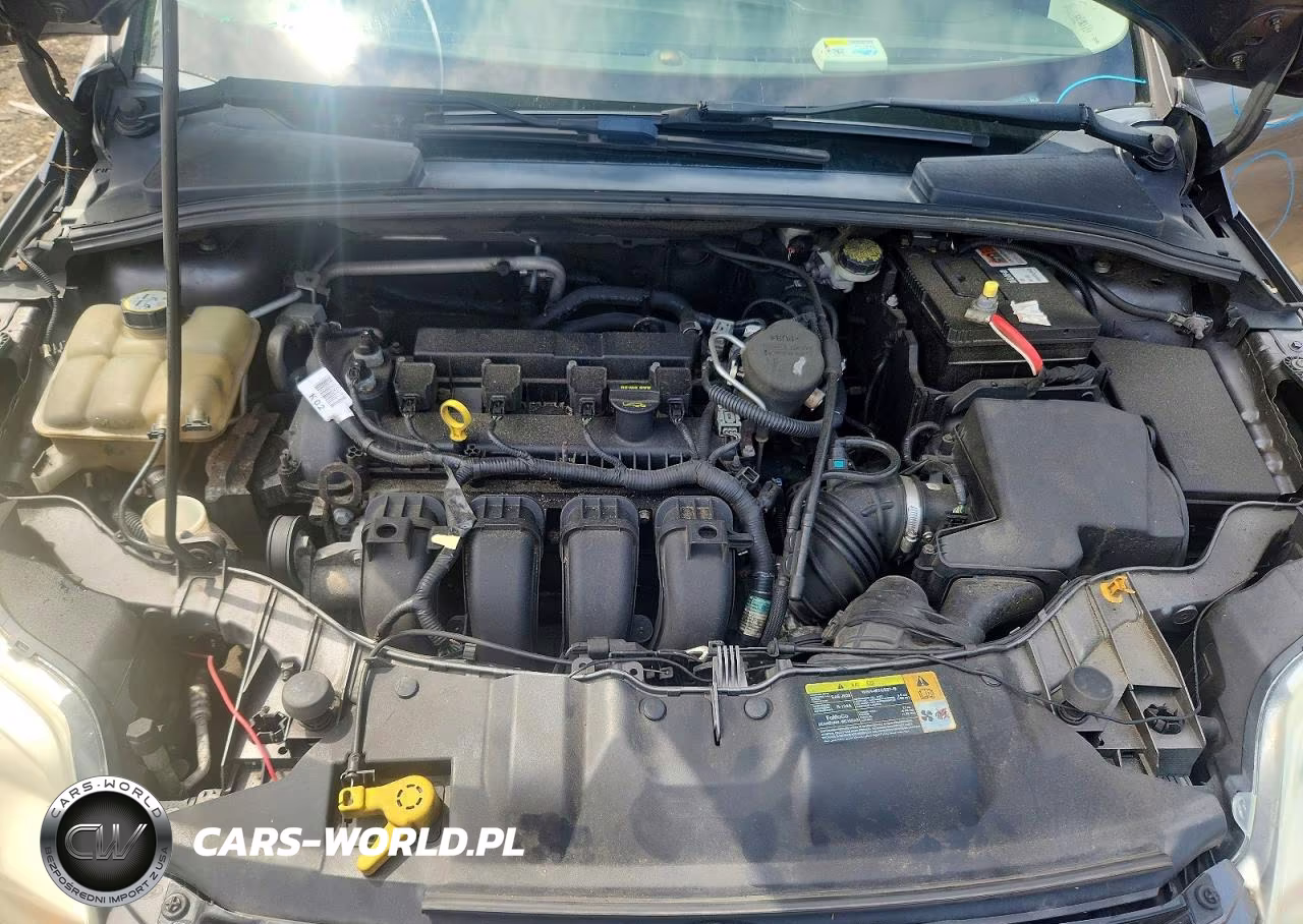 2012 Ford Focus Sel VIN:1FAHP3H28CL394460 - 11