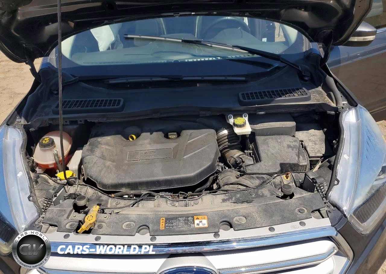 2019 Ford Escape Titanium VIN:1FMCU9J95KUC57777 - 12