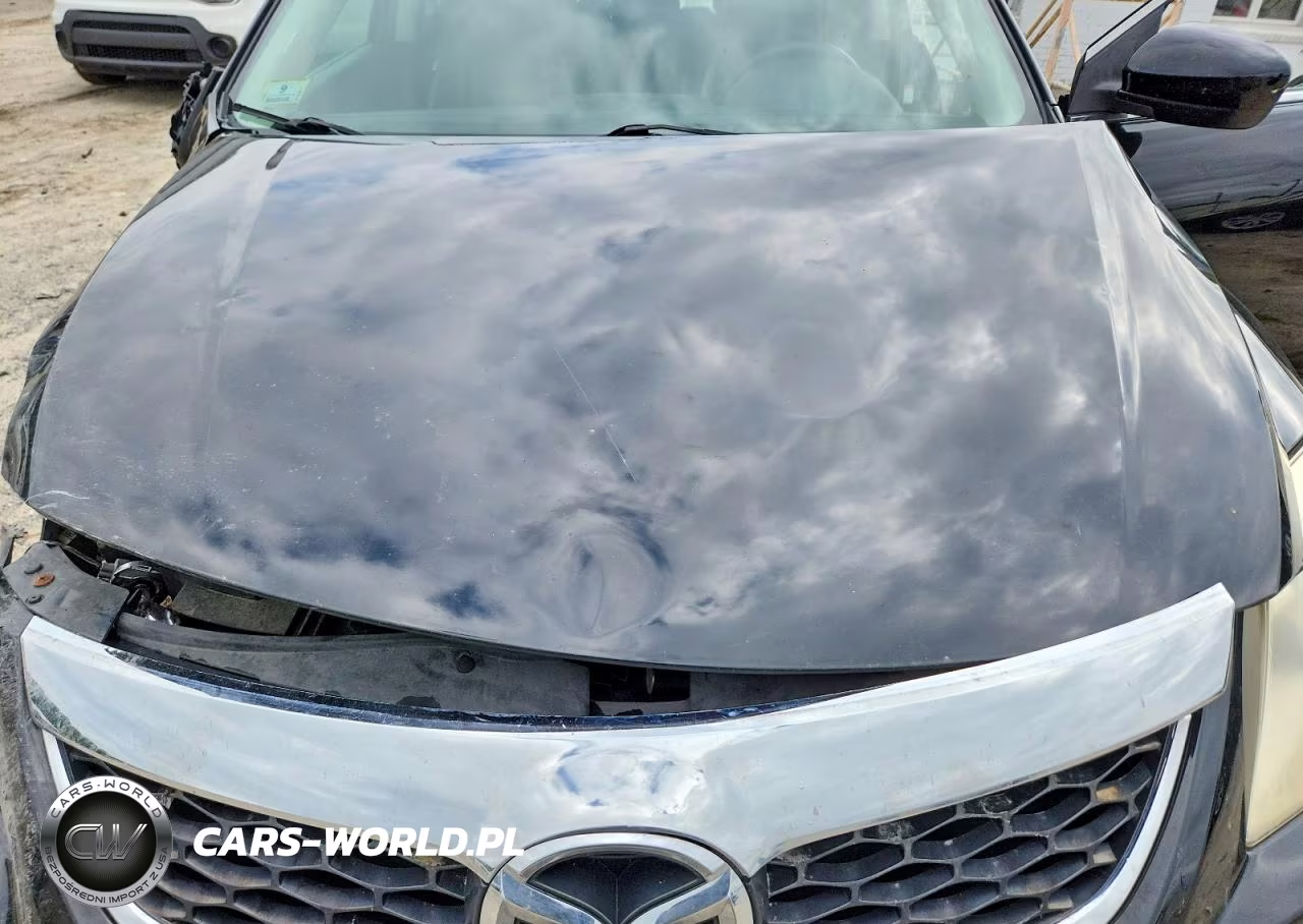 2011 Mazda Cx-9 VIN:JM3TB2CV4B0306221 - 12