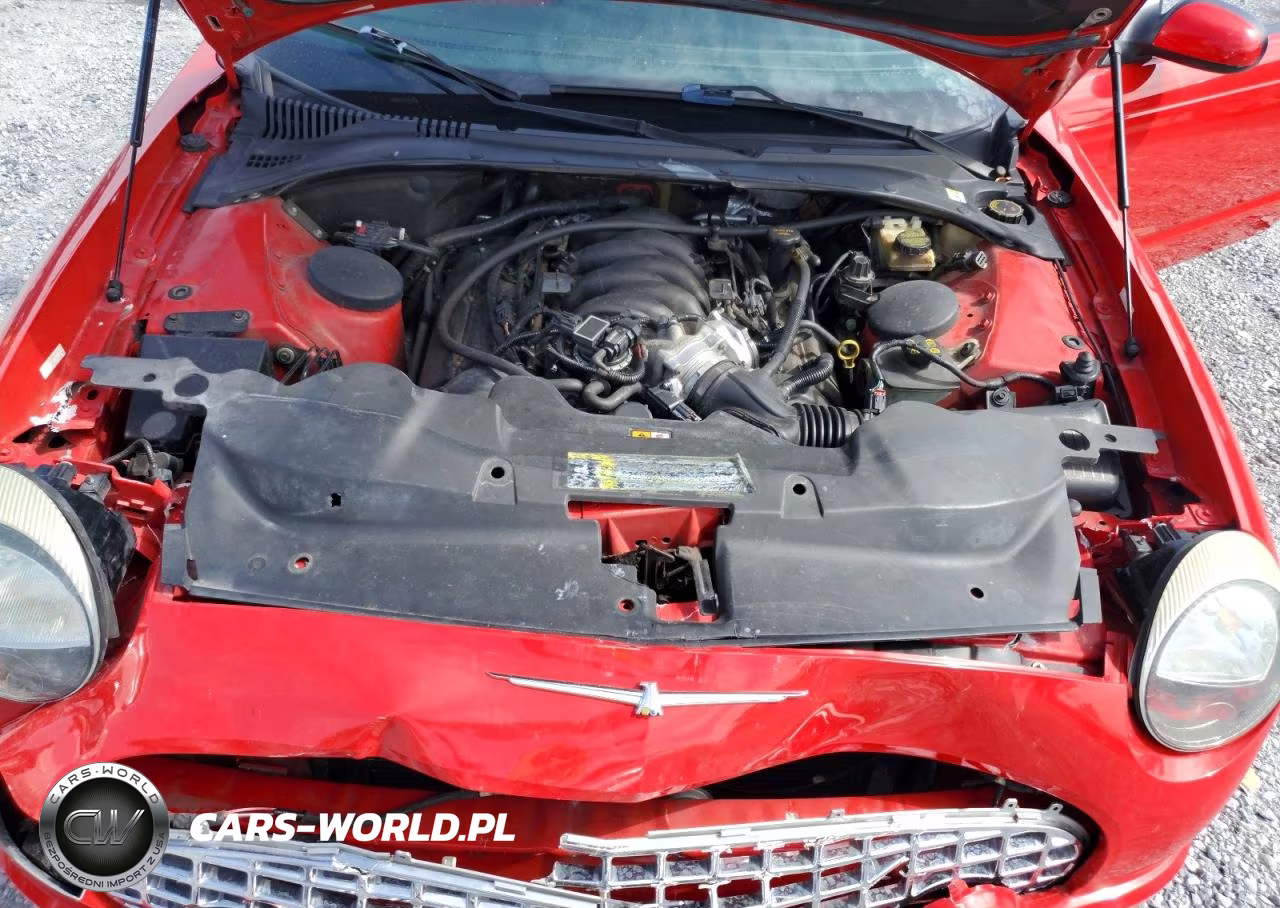 2004 Ford Thunderbird VIN:1FAHP60A74Y101463 - 11