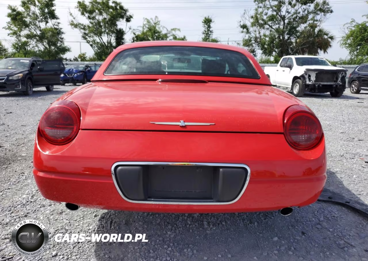 2004 Ford Thunderbird VIN:1FAHP60A74Y101463 - 6