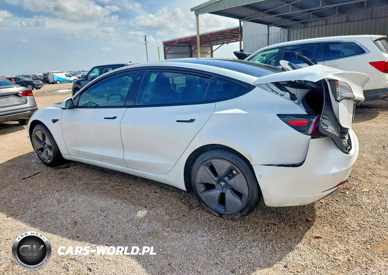 2021 Tesla Model 3 VIN:5YJ3E1EA9MF851579 - 2