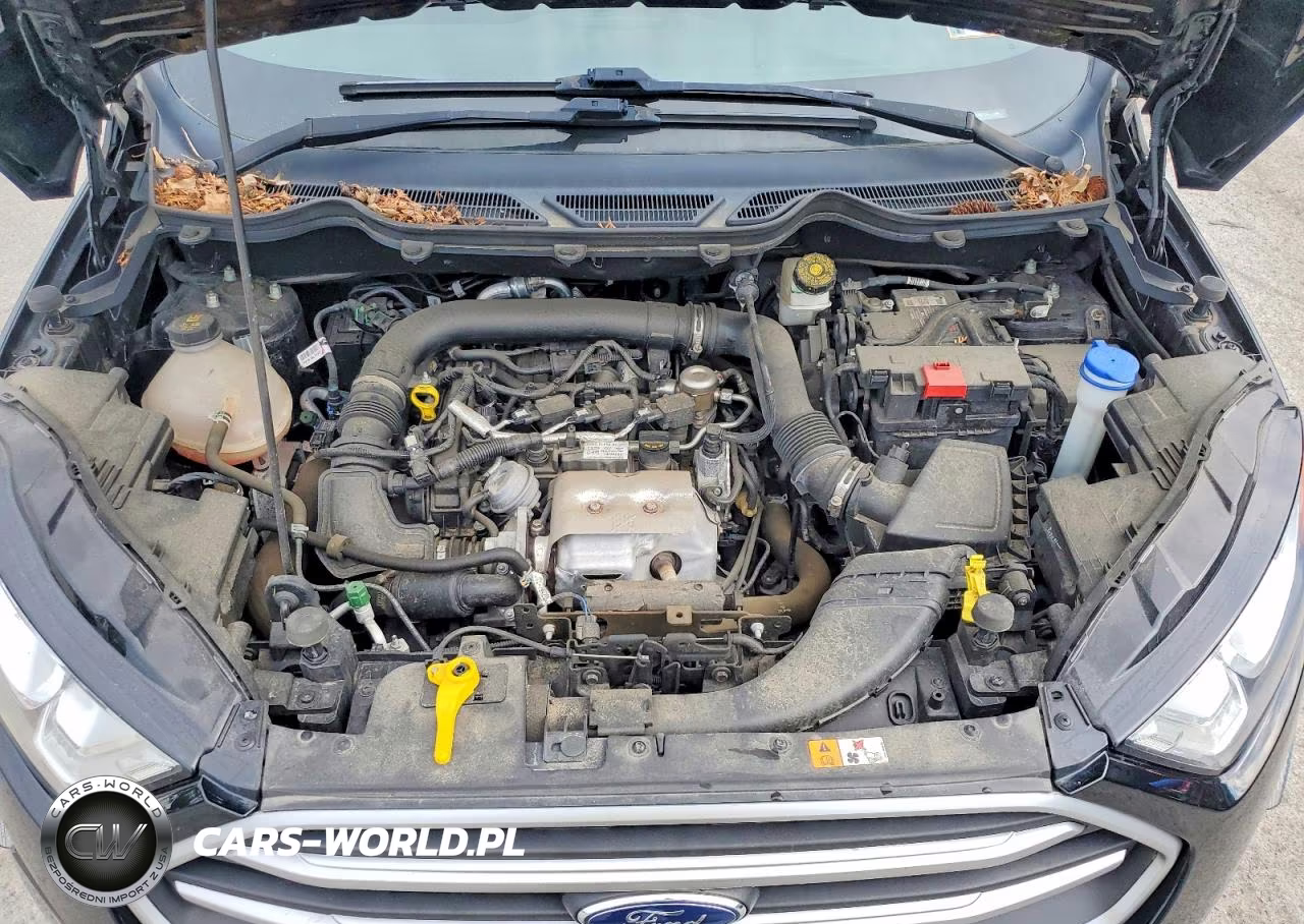 2019 Ford Ecosport Se VIN:MAJ3S2GE6KC302114 - 12