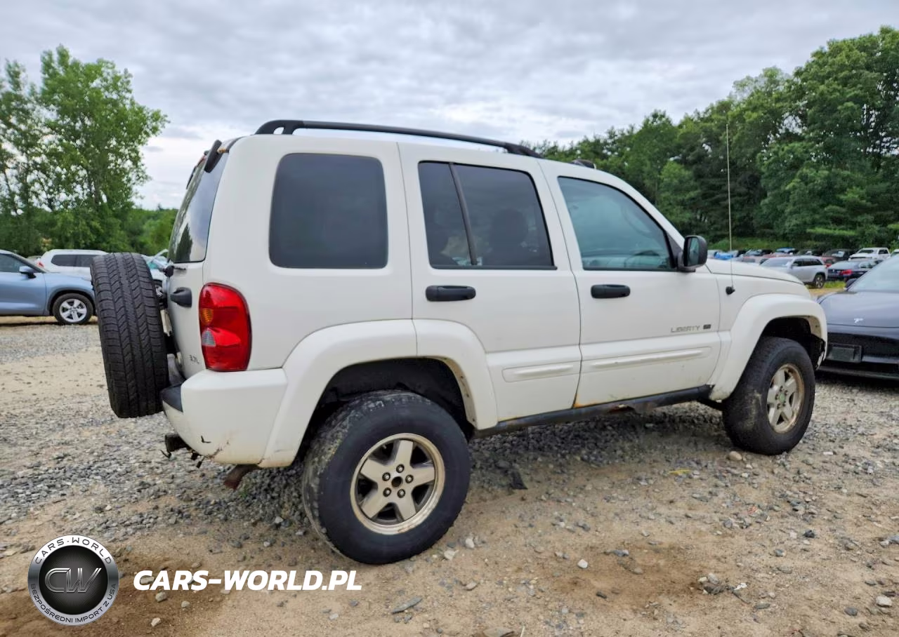 2003 Jeep Liberty Limited VIN:1J4GL58K83W604500 - 3