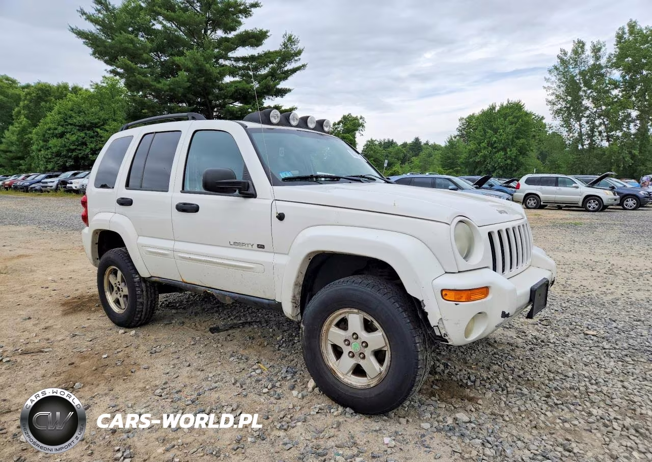 2003 Jeep Liberty Limited VIN:1J4GL58K83W604500 - 4